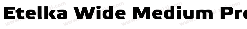 Etelka Wide Medium Pro Bold Italic字体转换